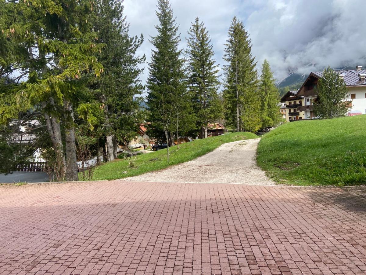 Sorapis Mini - Monolocale Panoramico Apartment Cortina d'Ampezzo Exterior photo